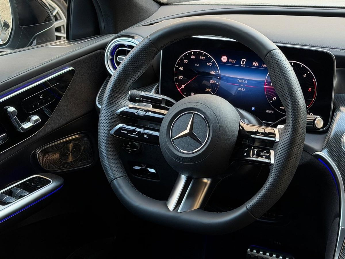 Mercedes-Benz GLC SUV 220 d 4Matic Premium (19)