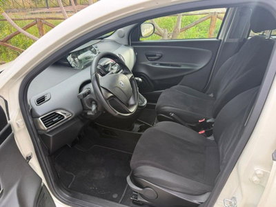 Lancia Ypsilon 0.9 TwinAir 85 CV 5 porte S&S DFN Platinum (6)