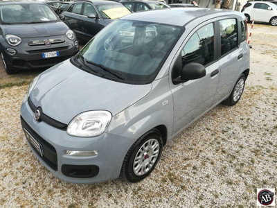 Fiat Panda 1.0 FireFly S&S Hybrid usata