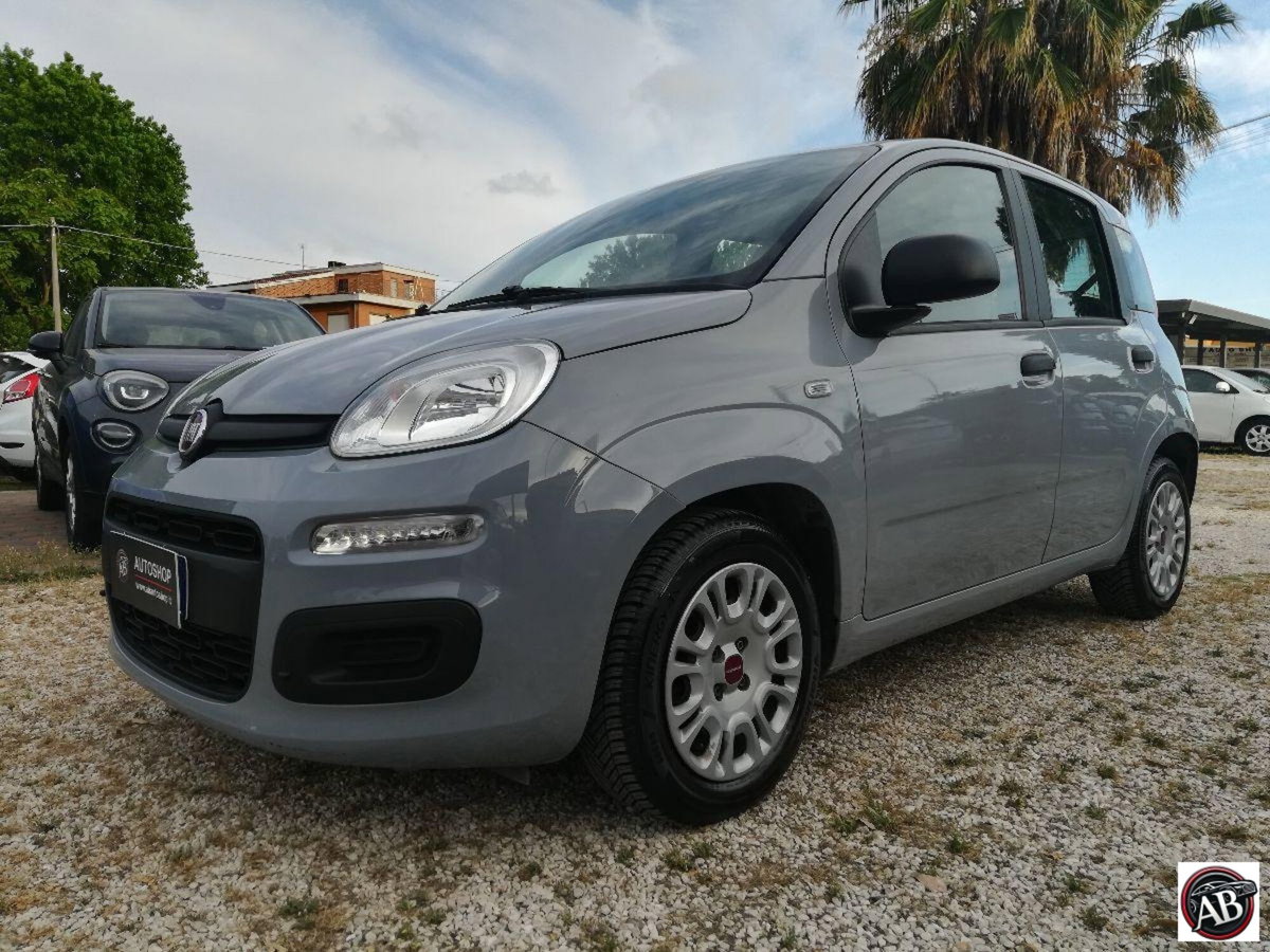 Fiat Panda 1.0 FireFly S&S Hybrid (2)