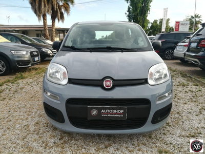 Fiat Panda 1.0 FireFly S&S Hybrid (3)