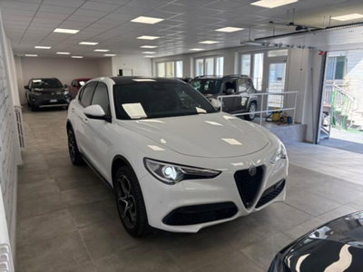 Alfa Romeo Stelvio Stelvio 2.0 Turbo 200 CV AT8 Q4 B-Tech (3)