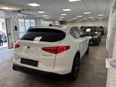 Alfa Romeo Stelvio Stelvio 2.0 Turbo 200 CV AT8 Q4 B-Tech (6)