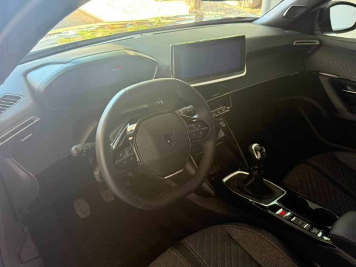 Peugeot 2008 PureTech 100 S&S Allure (20)