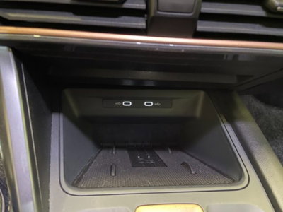 Cupra Formentor 1.5 hybrid 150cv dsg (14)