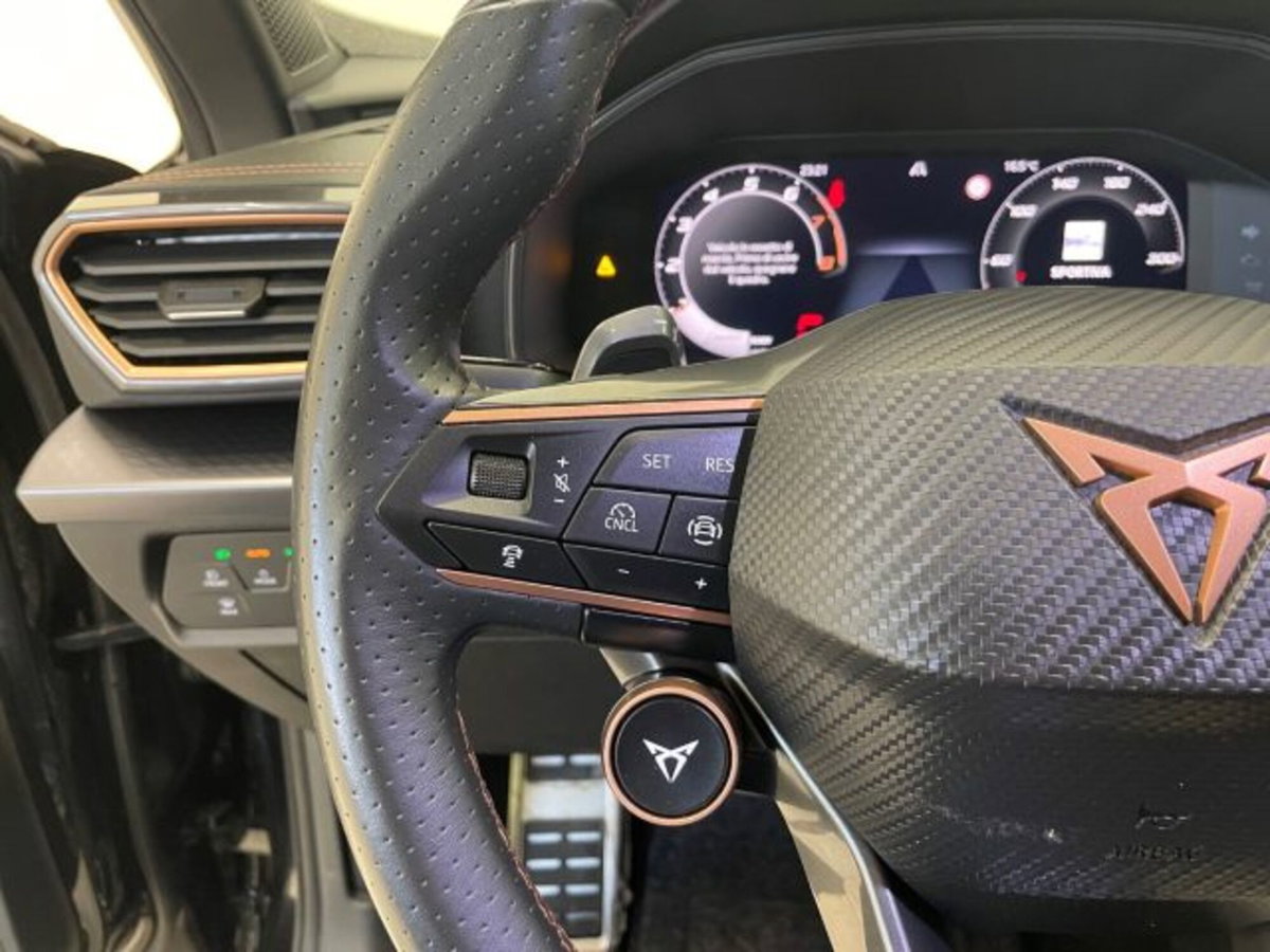 Cupra Formentor 1.5 hybrid 150cv dsg (17)