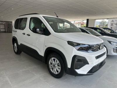 Peugeot Rifter BlueHDi 100 Allure Standard (2)