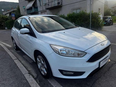 Ford Focus 1.0 EcoBoost 100 CV 5p. Business (3)