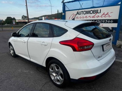 Ford Focus 1.0 EcoBoost 100 CV 5p. Business (7)