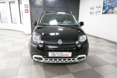 Fiat Panda Cross 1.0 firefly hybrid Cross s&s 70cv 5p.ti (2)