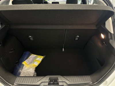 Ford Fiesta 1.5 EcoBlue 5 porte Business High (17)