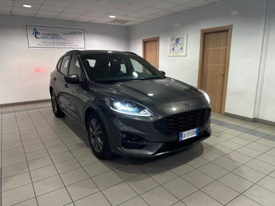 Ford Kuga 1.5 EcoBlue 120 CV 2WD ST-Line usata