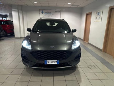 Ford Kuga 1.5 EcoBlue 120 CV 2WD ST-Line (2)