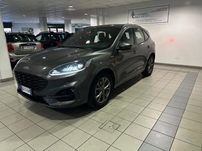 Ford Kuga 1.5 EcoBlue 120 CV 2WD ST-Line (3)
