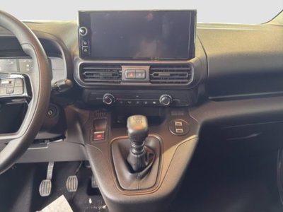 Citroen Berlingo Furgone BlueHDi 100 Van M Driver (16)