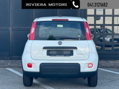 Fiat Panda 1.0 firefly hybrid Icon s&s 70cv (9)