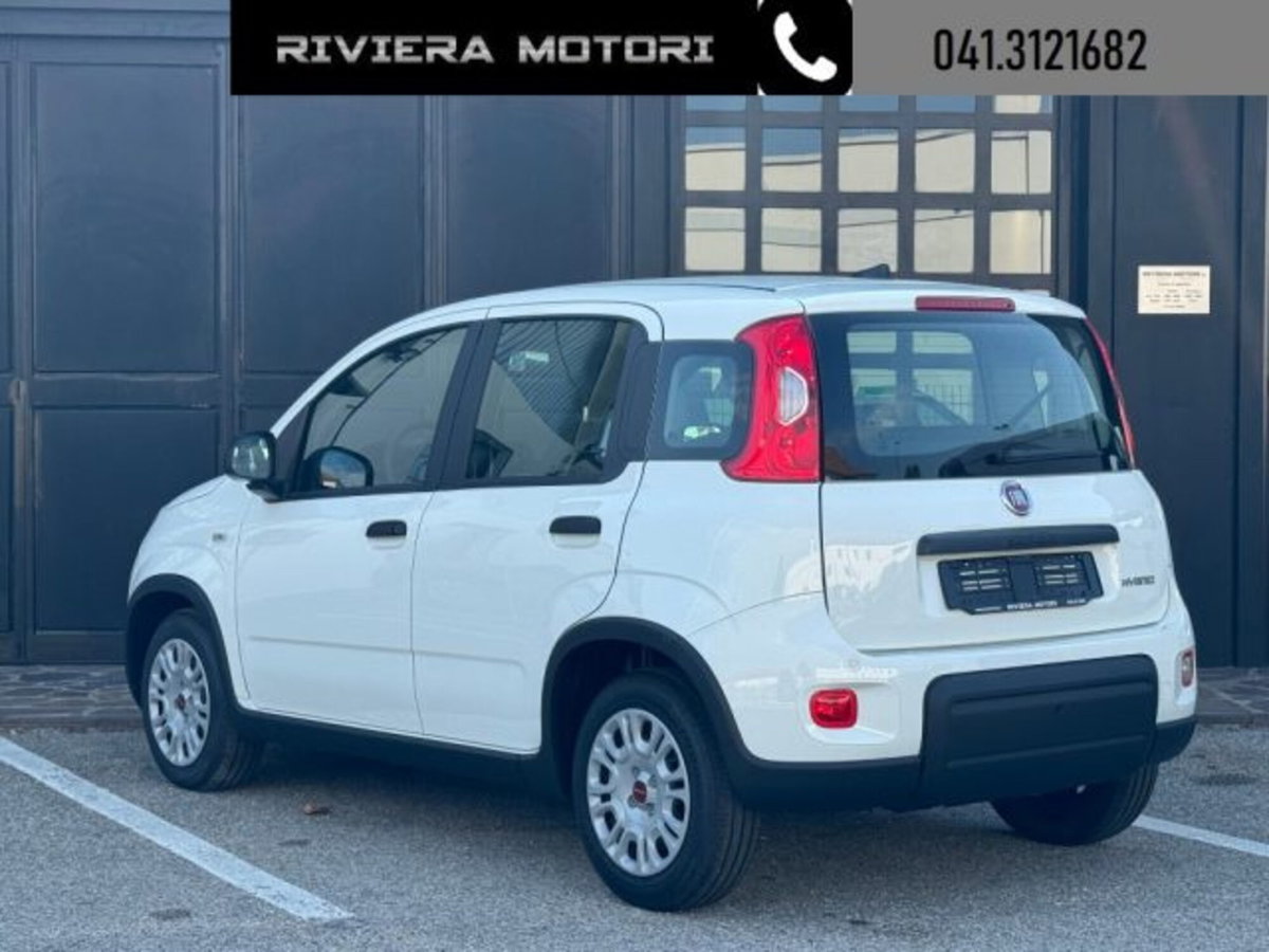 Fiat Panda 1.0 firefly hybrid Icon s&s 70cv (10)