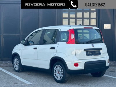 Fiat Panda 1.0 firefly hybrid Icon s&s 70cv (10)