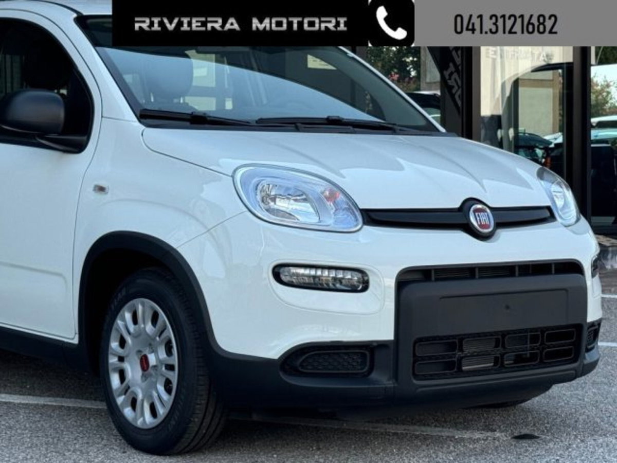 Fiat Panda 1.0 firefly hybrid Icon s&s 70cv (12)