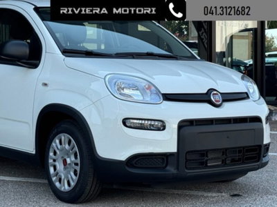 Fiat Panda 1.0 firefly hybrid Icon s&s 70cv (12)