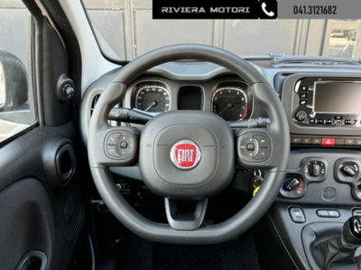 Fiat Panda 1.0 firefly hybrid Icon s&s 70cv (5)