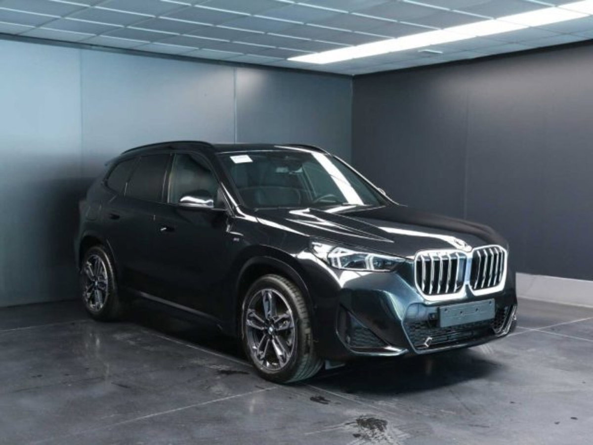 BMW X1 xDrive 20d Msport (2)