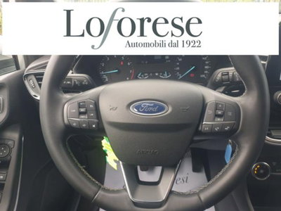 Ford Fiesta 1.1 75 CV 5 porte Titanium (12)