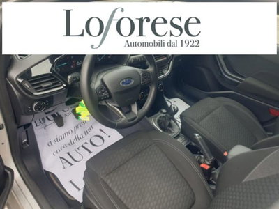 Ford Fiesta 1.1 75 CV 5 porte Titanium (6)