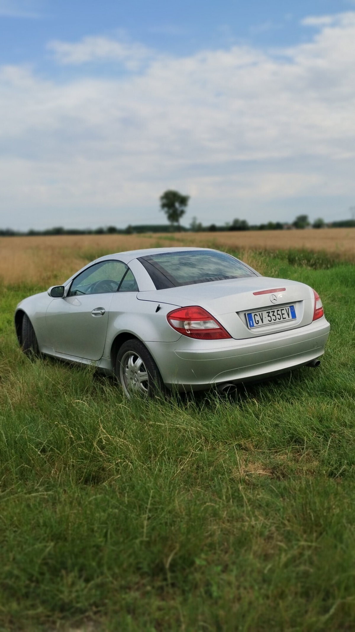 Mercedes-Benz SLK 200 Kompressor cat (3)