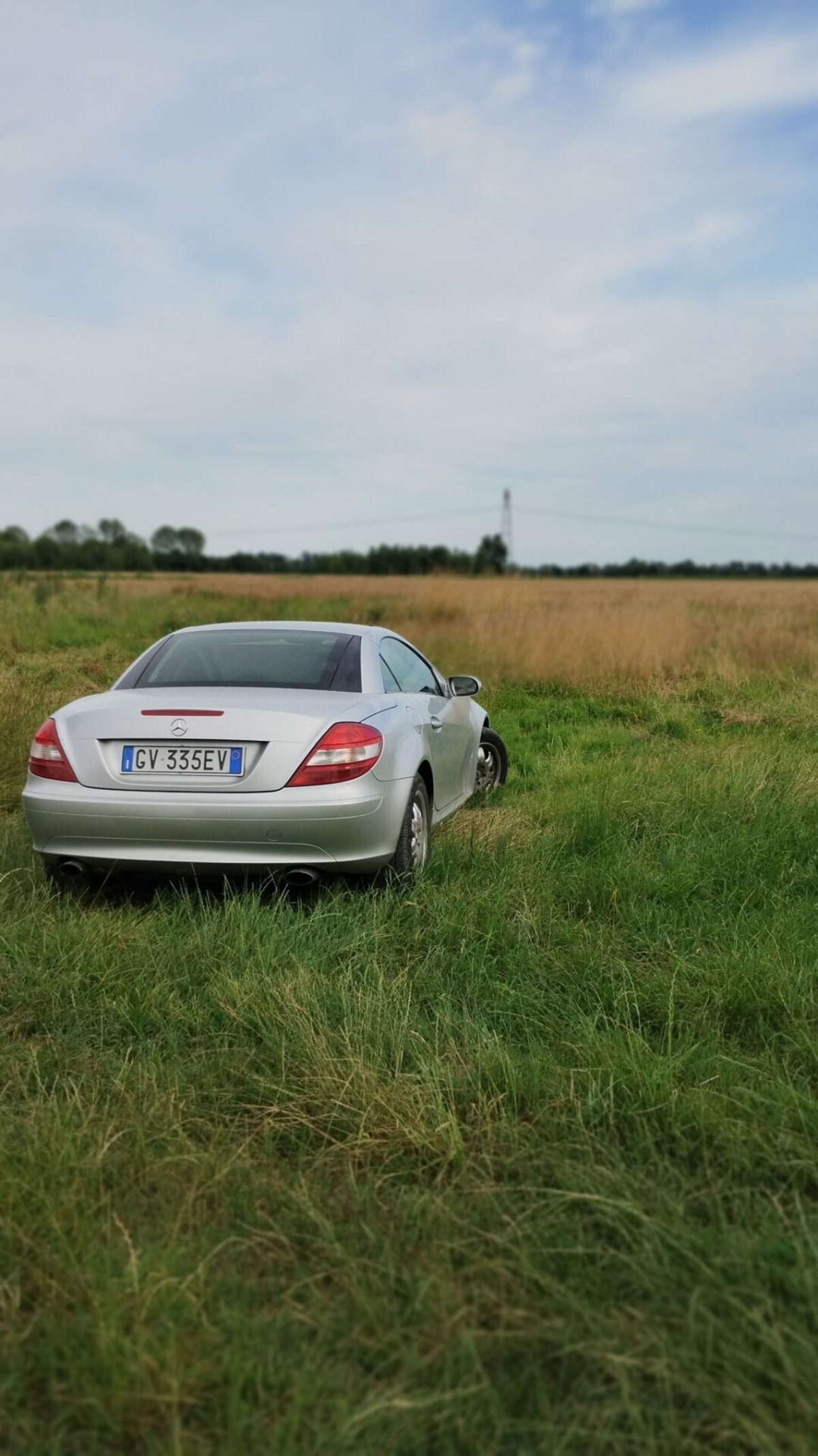 Mercedes-Benz SLK 200 Kompressor cat (4)