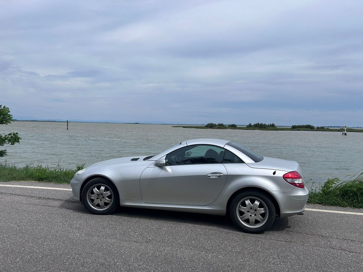 Mercedes-Benz SLK 200 Kompressor cat (6)