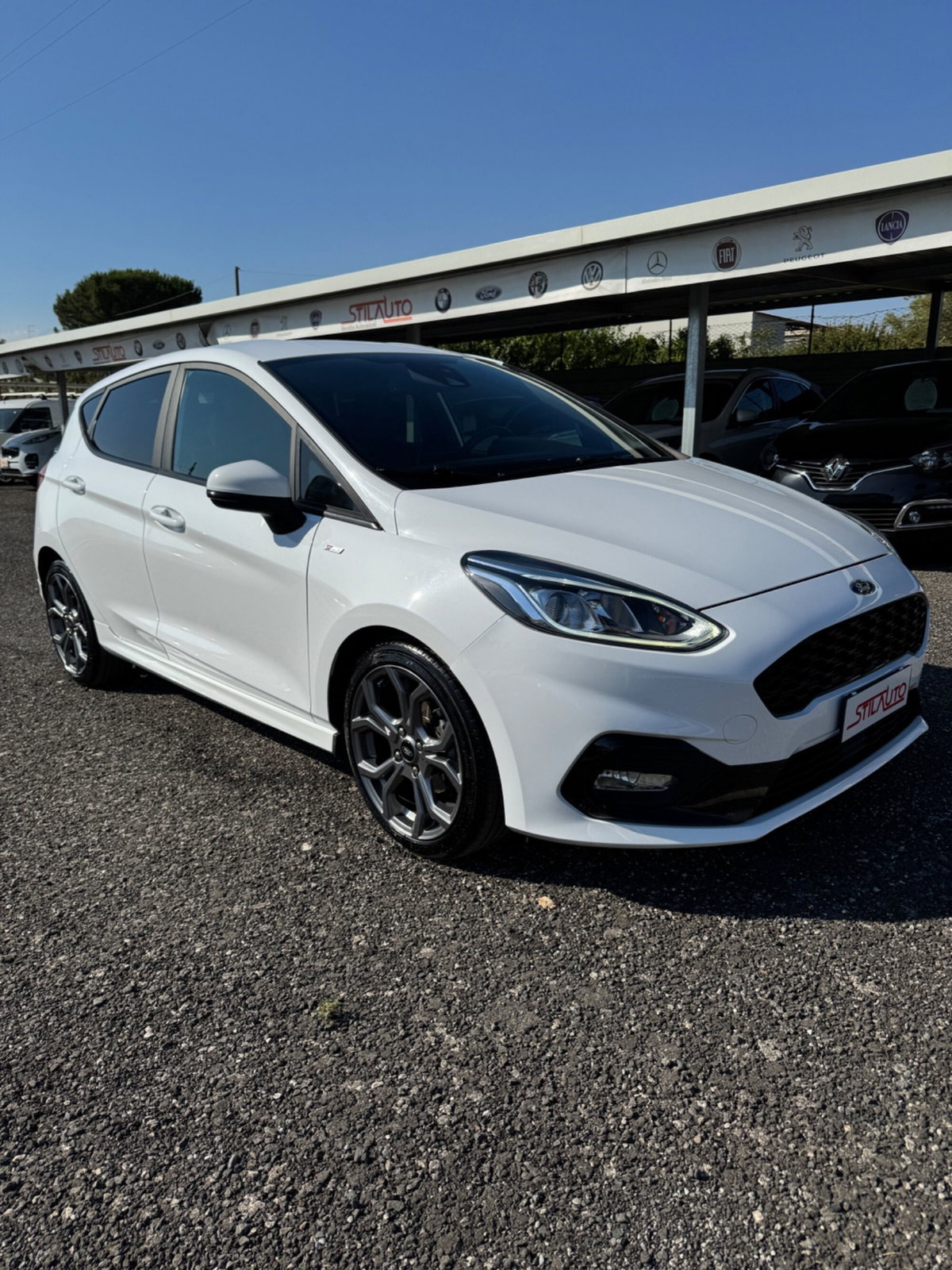 Ford Fiesta 1.5 EcoBlue 5 porte ST-Line (4)