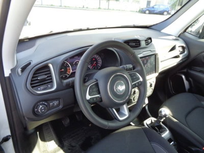 Jeep Renegade 1.6 mjt Limited 2wd 130cv (9)