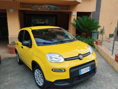 Fiat Panda Cross Cross 1.0 FireFly S&S Hybrid usata