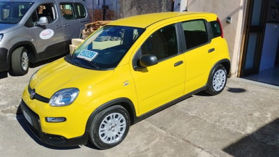 Fiat Panda Cross Cross 1.0 FireFly S&S Hybrid (6)