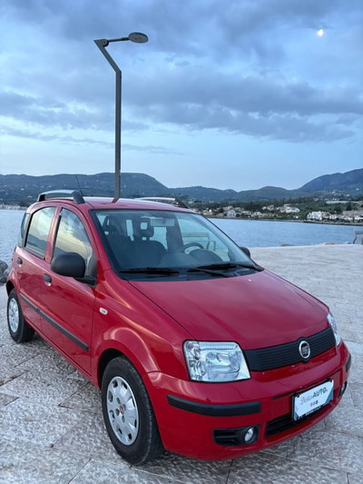 Fiat Panda 1.2 Dynamic usata