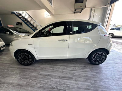 Lancia Ypsilon 1.2 69 CV 5 porte GPL Ecochic Gold (4)