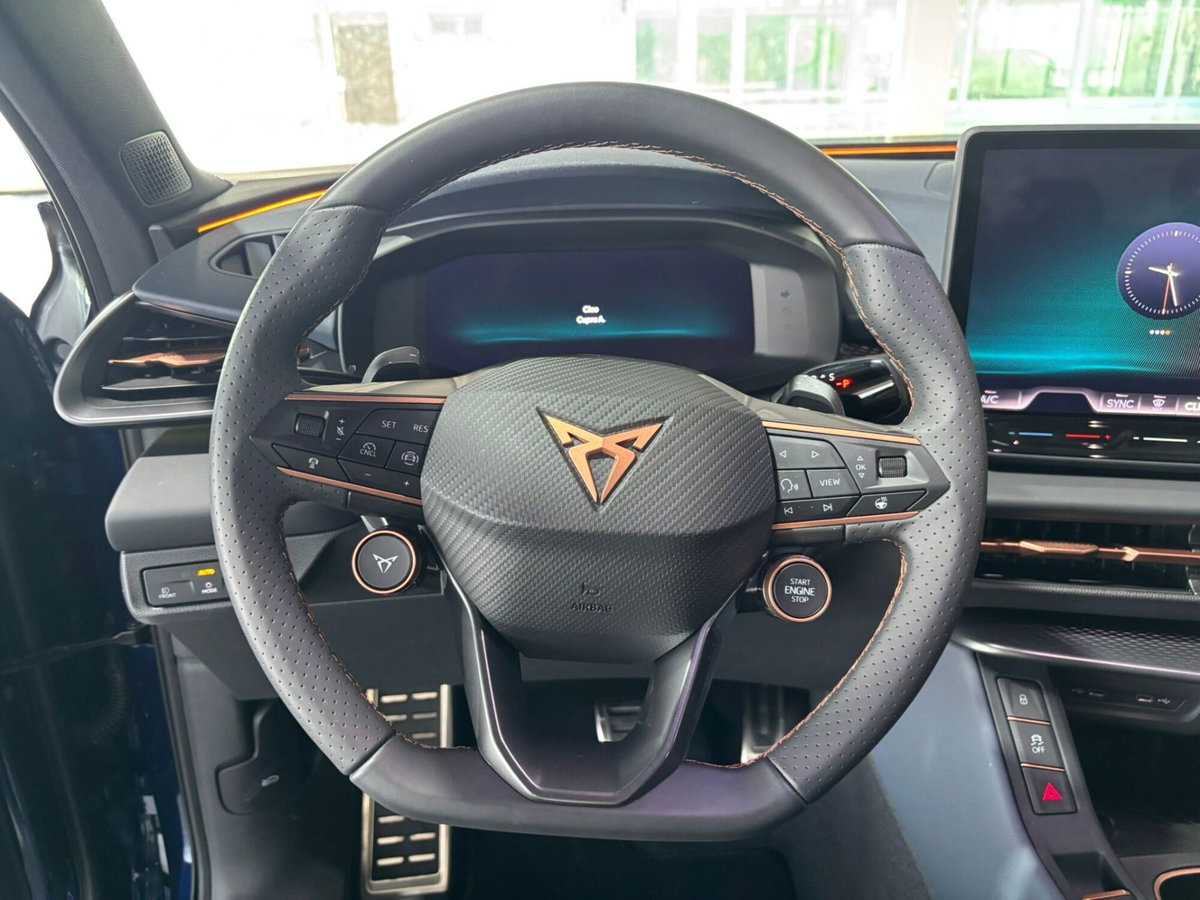 Cupra Terramar 1.5 hybrid 150cv dsg (12)