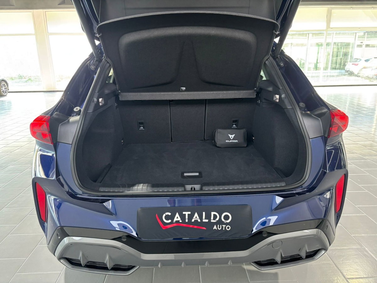 Cupra Terramar 1.5 hybrid 150cv dsg (19)