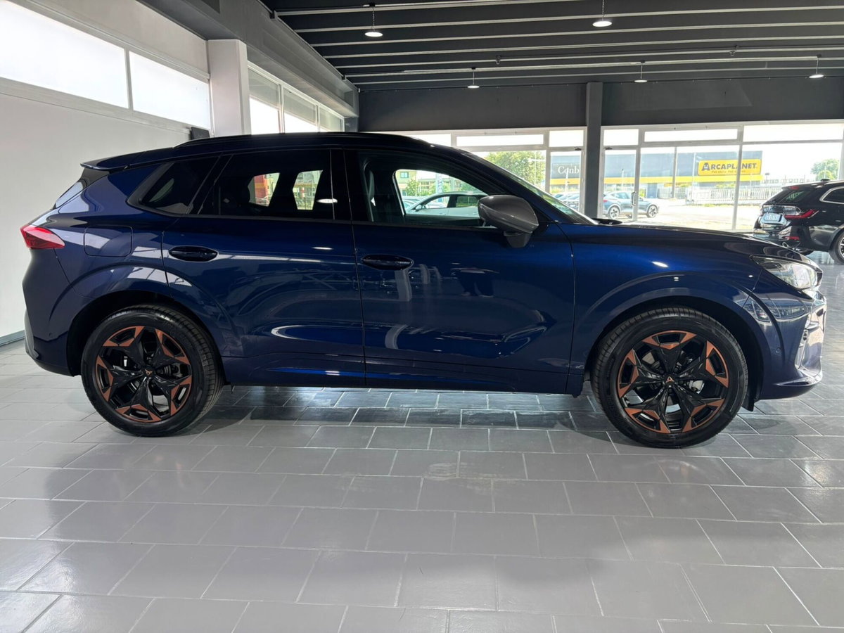 Cupra Terramar 1.5 hybrid 150cv dsg (6)