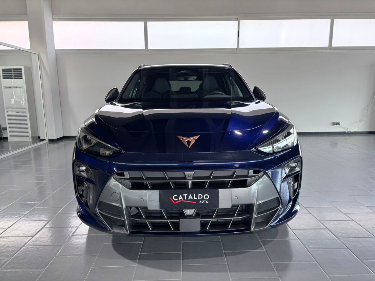 Cupra Terramar 1.5 hybrid 150cv dsg (8)
