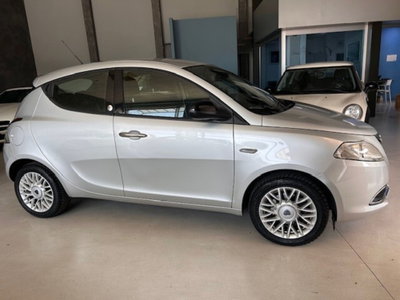 Lancia Ypsilon 1.2 69 CV 5 porte GPL Ecochic Gold (6)
