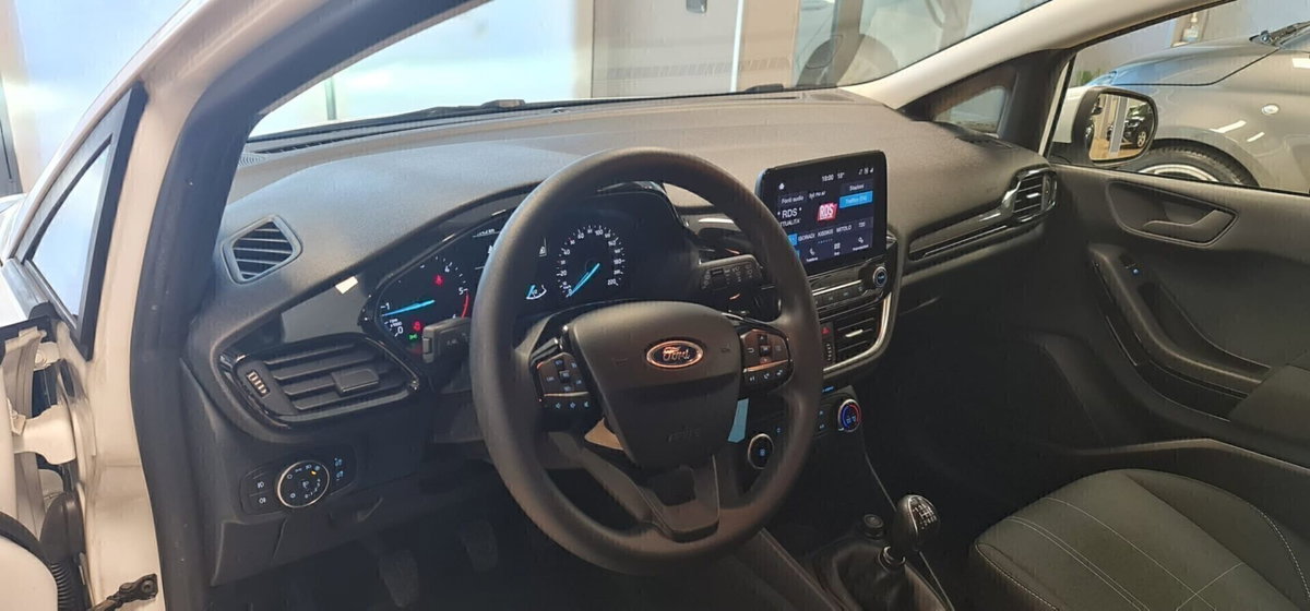 Ford Fiesta 1.5 EcoBlue 5 porte Business High (10)