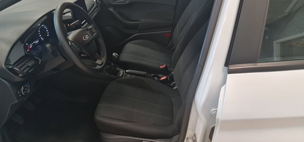 Ford Fiesta 1.5 EcoBlue 5 porte Business High (11)