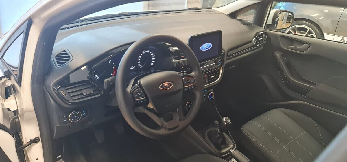 Ford Fiesta 1.5 EcoBlue 5 porte Business High (13)