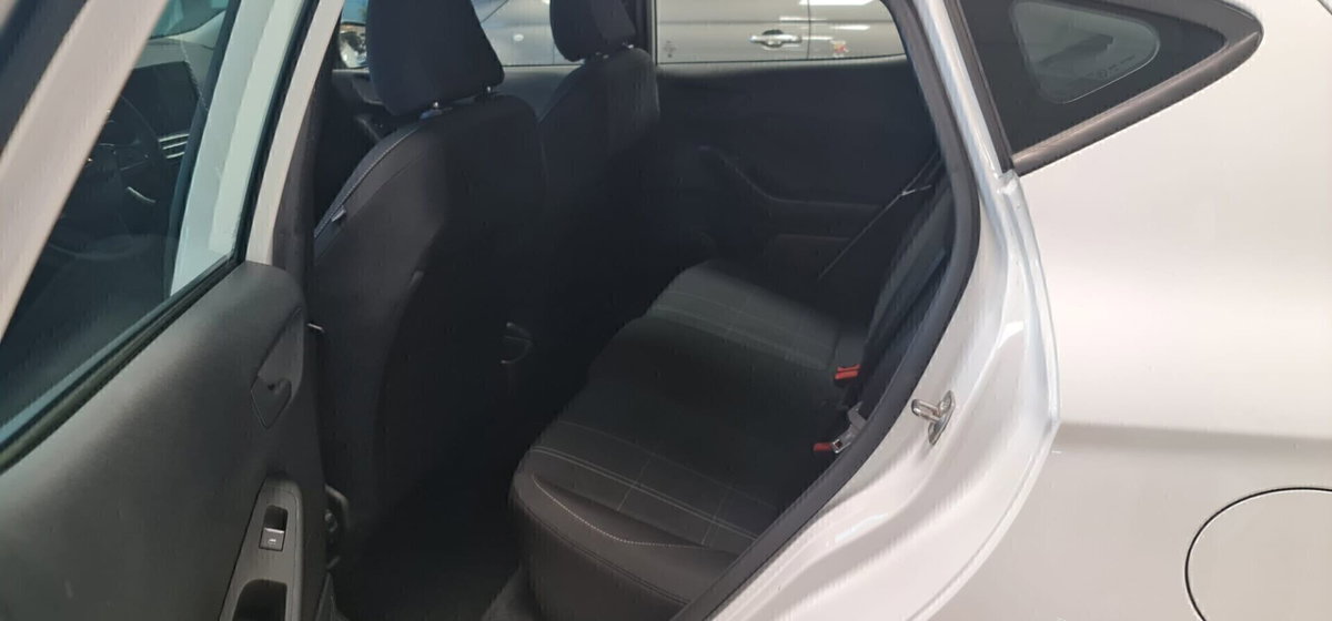 Ford Fiesta 1.5 EcoBlue 5 porte Business High (15)