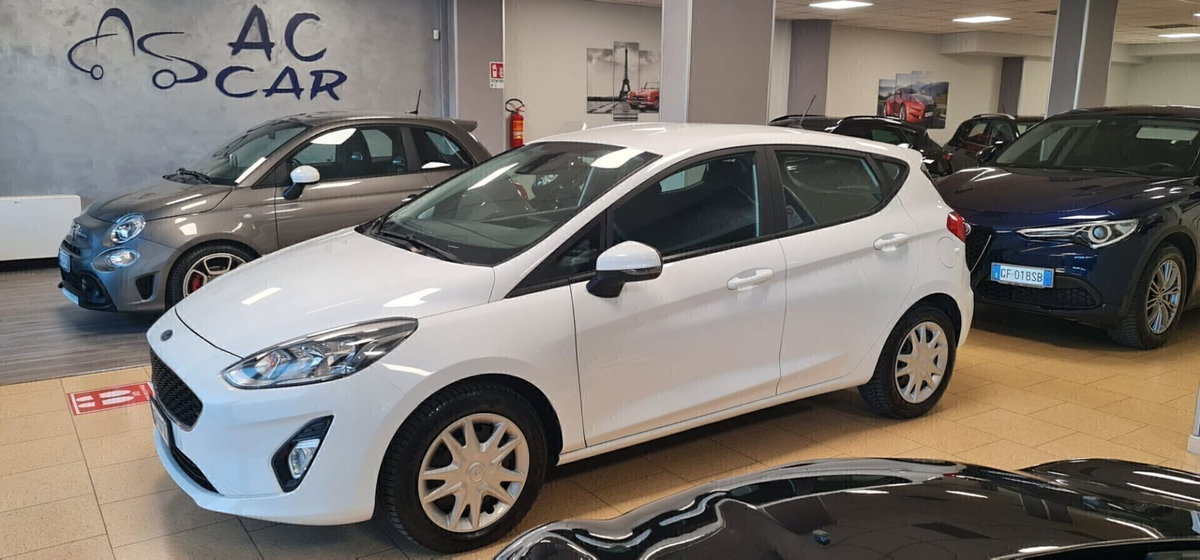 Ford Fiesta 1.5 EcoBlue 5 porte Business High (2)
