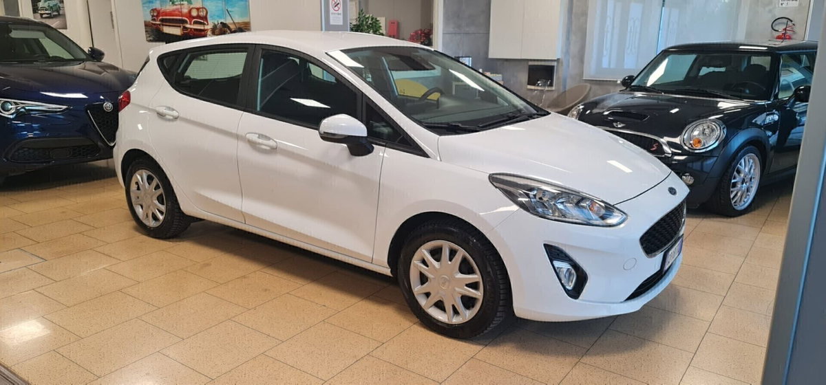 Ford Fiesta 1.5 EcoBlue 5 porte Business High (3)