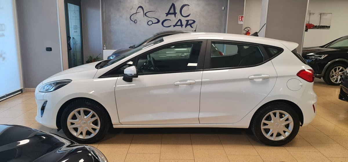 Ford Fiesta 1.5 EcoBlue 5 porte Business High (4)