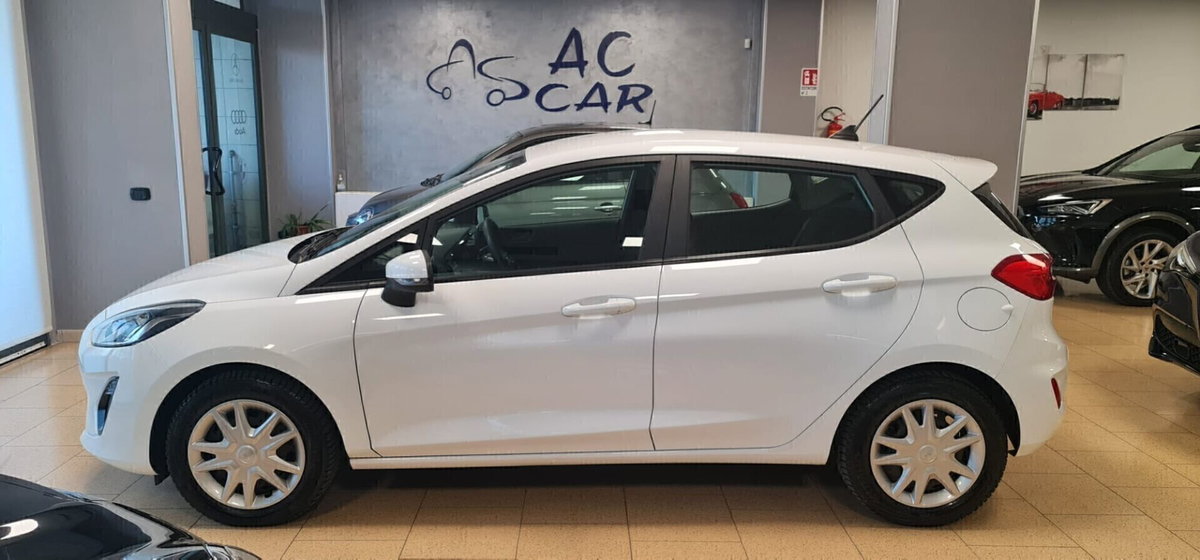 Ford Fiesta 1.5 EcoBlue 5 porte Business High (7)